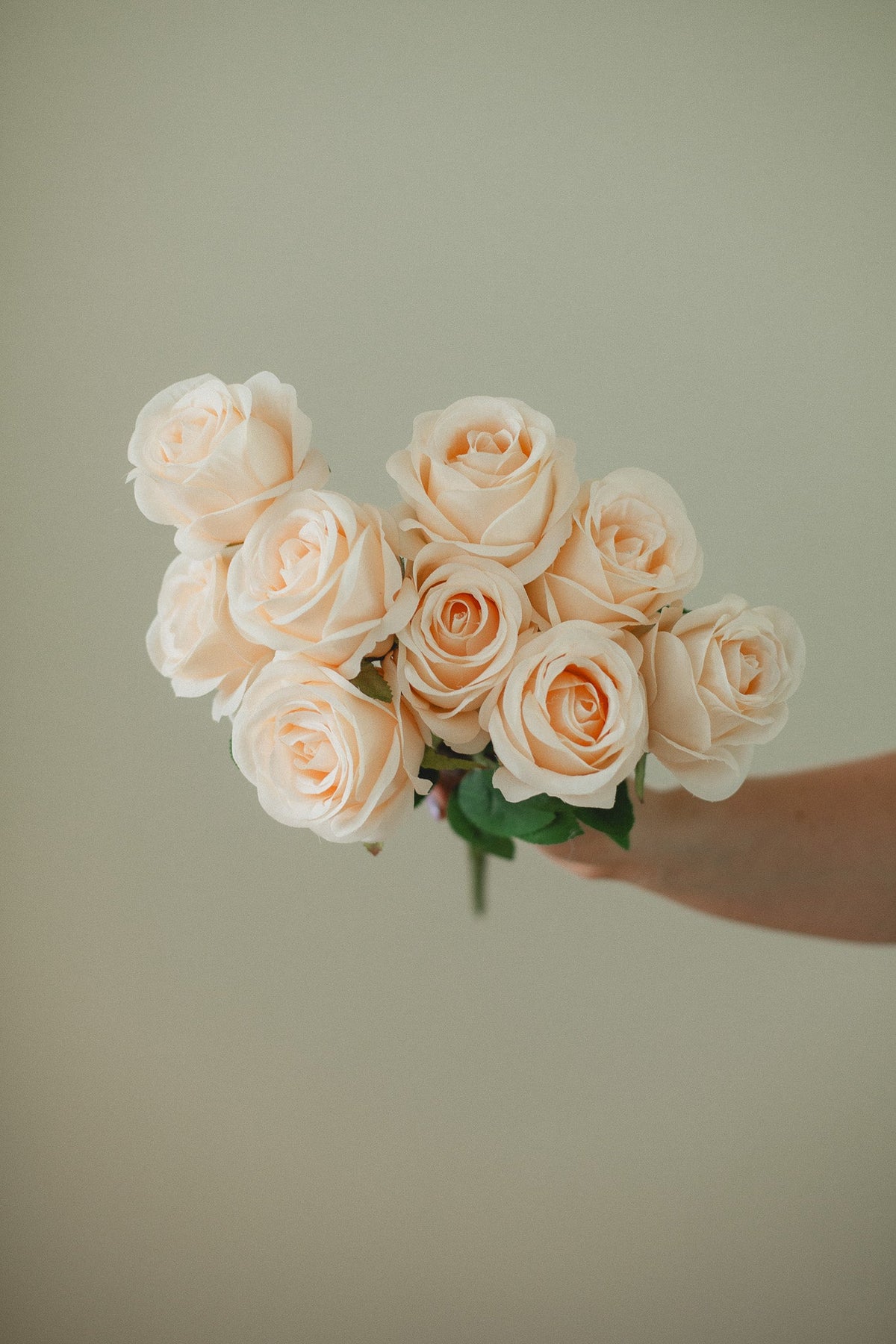 Fresh Rose Bundle