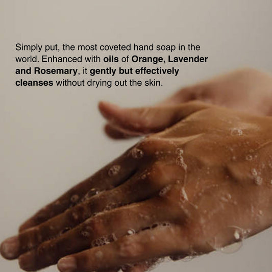 Aesop Resurrection Aromatique Hydrating Hand Wash | Gentle Non-Drying Hand Soap with Mandarin Rind, Rosemary, & Lavender | Moisturizing Kitchen & Bathroom Soap | 16.9 oz ๐ All In One Marketplace Canada