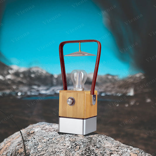 TRU De-LIGHT VIENNA LED, Dimmable Desk Lamp - Lamp / Power Bank / Decoration All-In-One