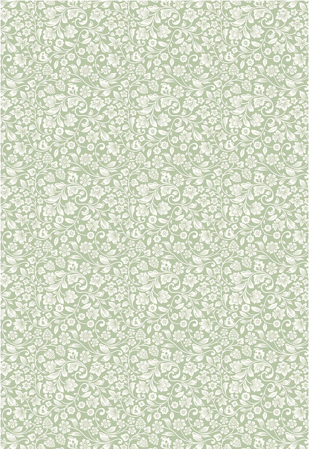 Ciao Bella Vellum Enchanted Land Paper Patterns A4 6/Pkg