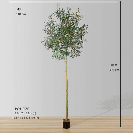 Olidia Artificial Olive Tree 10'