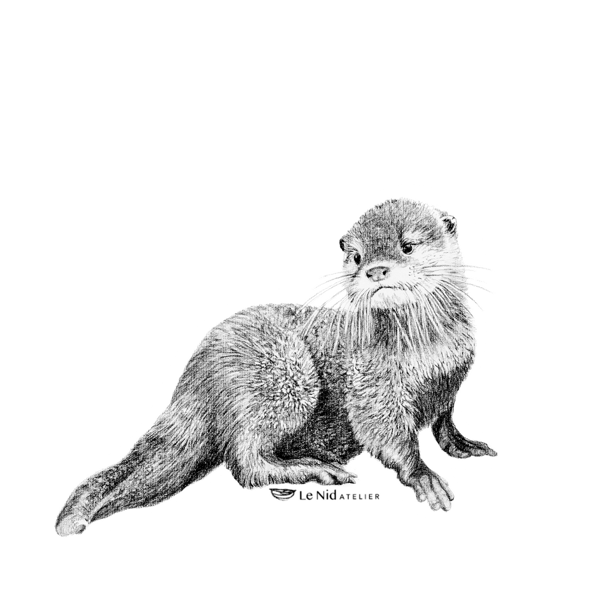 Baby Otter - Magnet