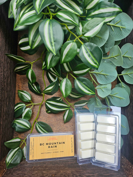 Wax melt bar: BC Mountain Rain. 1.75oz