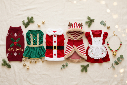 Hourly Christmas Gift Picks: Pet Lovers' Gifts — AURABAGS SHOP, October 23, 2026