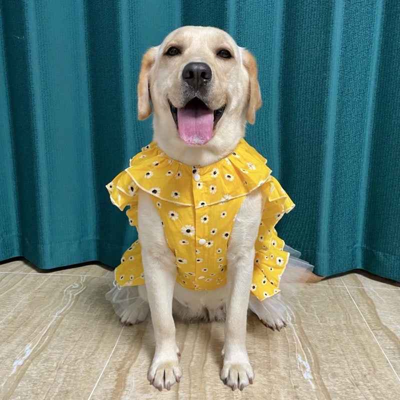 Bella Dress