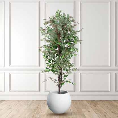 Olaya Artificial Ficus Potted Plant 6'