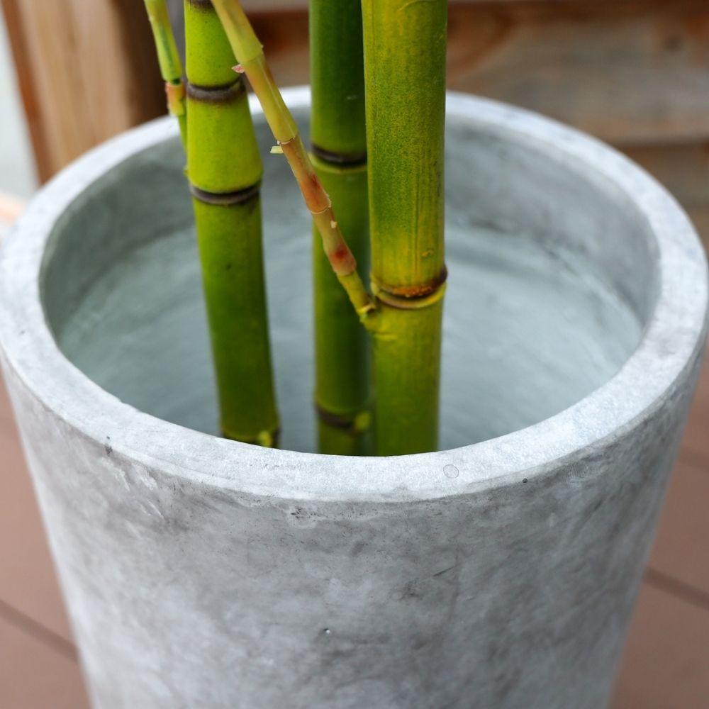 Xaca Cement Planter 10''
