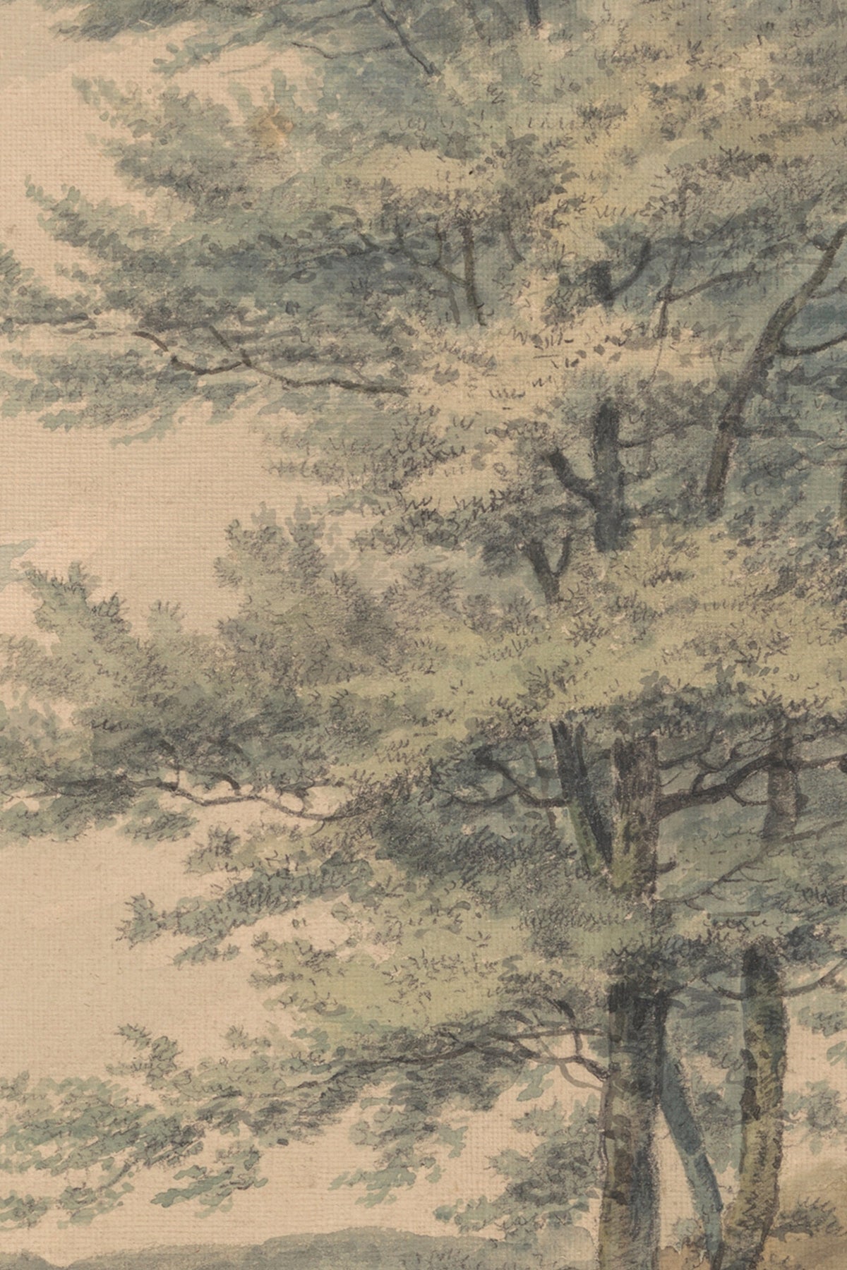 PAYSAGE OUBLIÉ, CADRE VINTAGE ARGENT