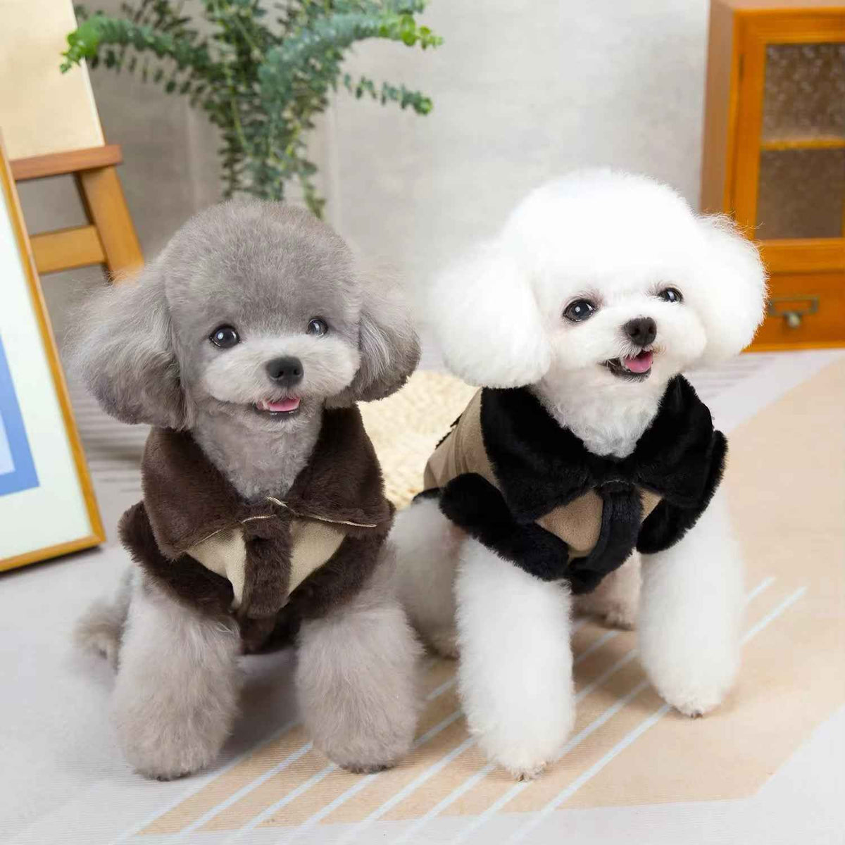 Vancouver Coat for Dogs – Warm Winter Dog Coat