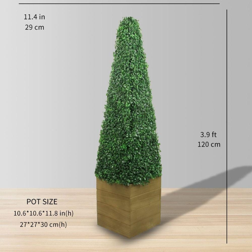 Mayer Potted Boxwood Topiary Plant (Multiple Sizes)