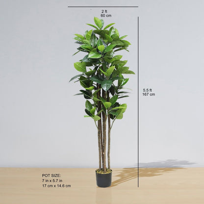 Encanto Artificial Rubber Potted Plant (Multiple Sizes)