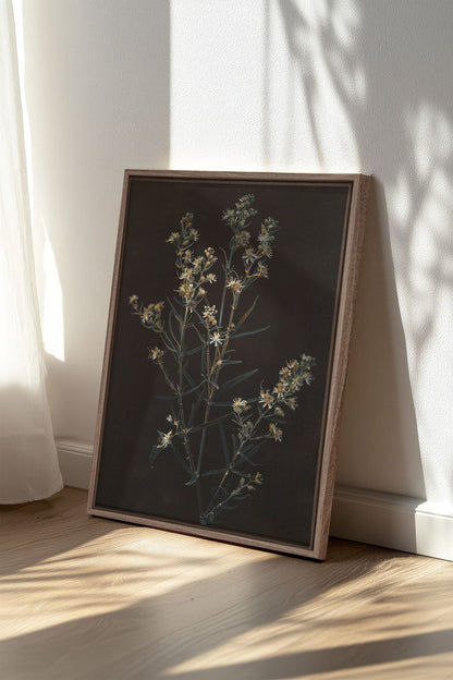 FLEUR D'ARGENT, Oeuvre sur toile étirée