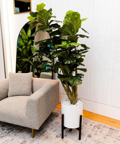 Pico Artificial Fiddle Leaf Potted Plant 5.5'
