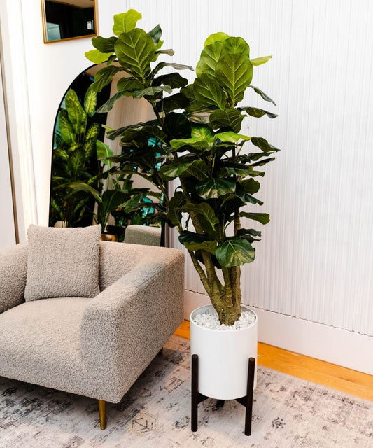 Pico Artificial Fiddle Leaf Potted Plant 5.5'