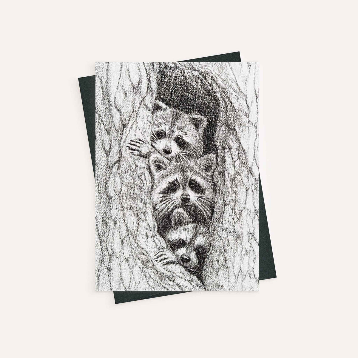 3 Raccoons in a tree - greeting card