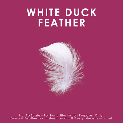 White Feather Cushions