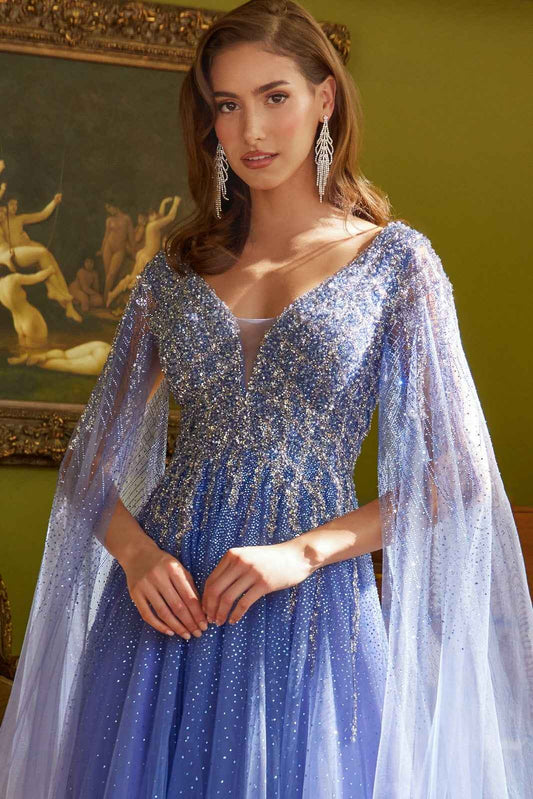 princess long sleeve dress
