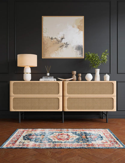 Dilara Multi Color Red Blue Rug