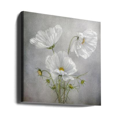 Wall Art Cosmos Charm Irises