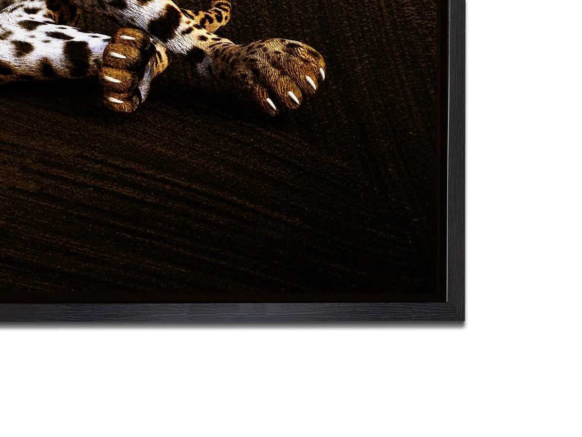 Leopard -Wildlife Canvas Art -Wall decor- Hand applied Gold varnish #4836-047