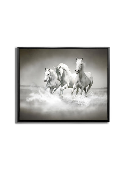 Wall Art Black and White Stallions - Animal Print Canvas
