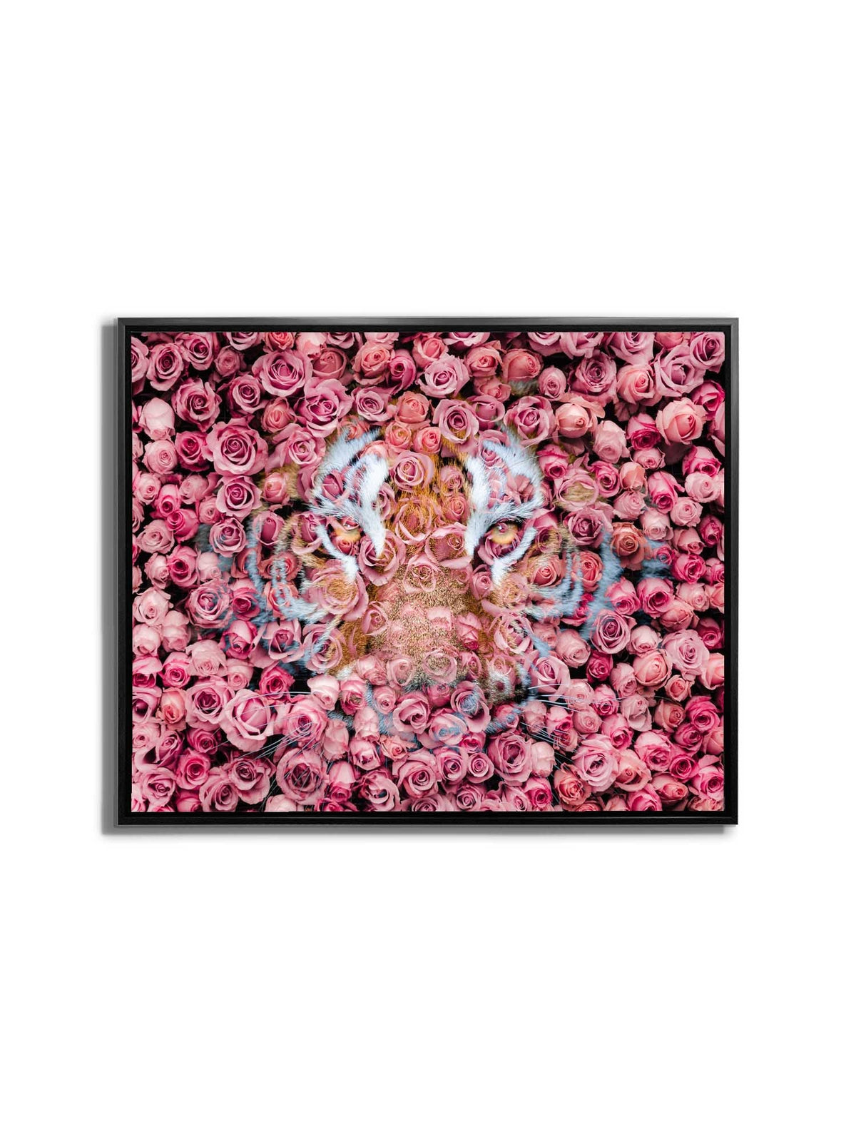 Tiger in the Rose-Wildlife Canvas Prints- Animal Art- Gold varnish