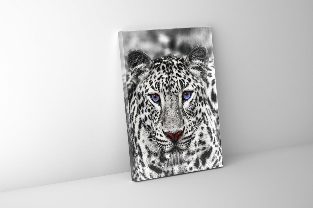 Wall Art-Blue Eyed White Tiger- Wildlife decor