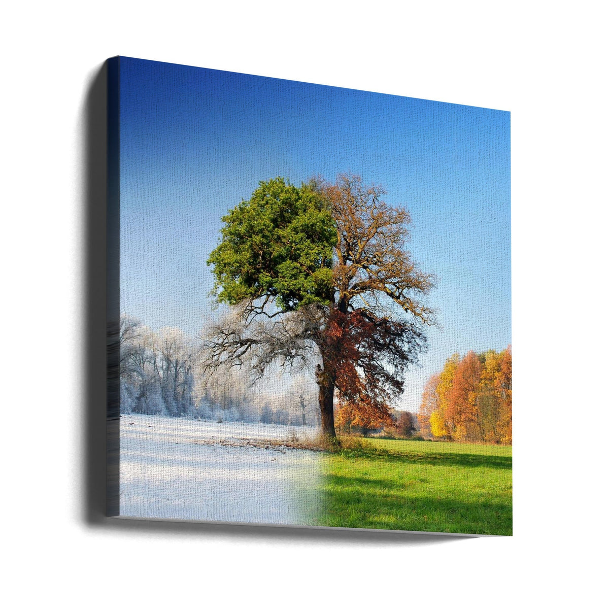 wall Art 4 seasons