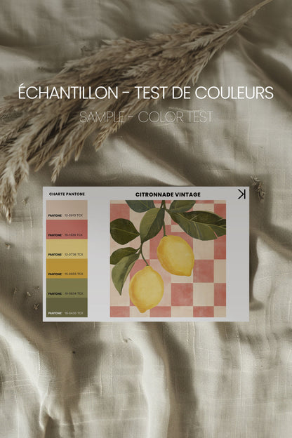 CITRONNADE VINTAGE, Oeuvre sur toile étirée