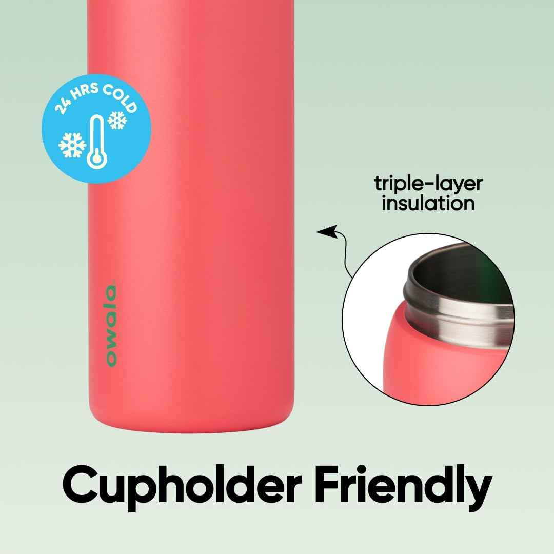 Owala FreeSip Insulated Stainless Steel Water Bottle with Straw for Sports, Travel, and School BPA-Free Sports Water Bottle, 32 oz, Strawberry Field 🍁 All In One Marketplace Canada