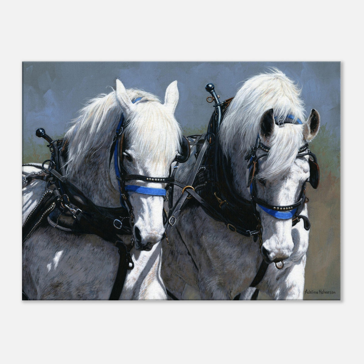 POWER AND GRACE Canvas Print