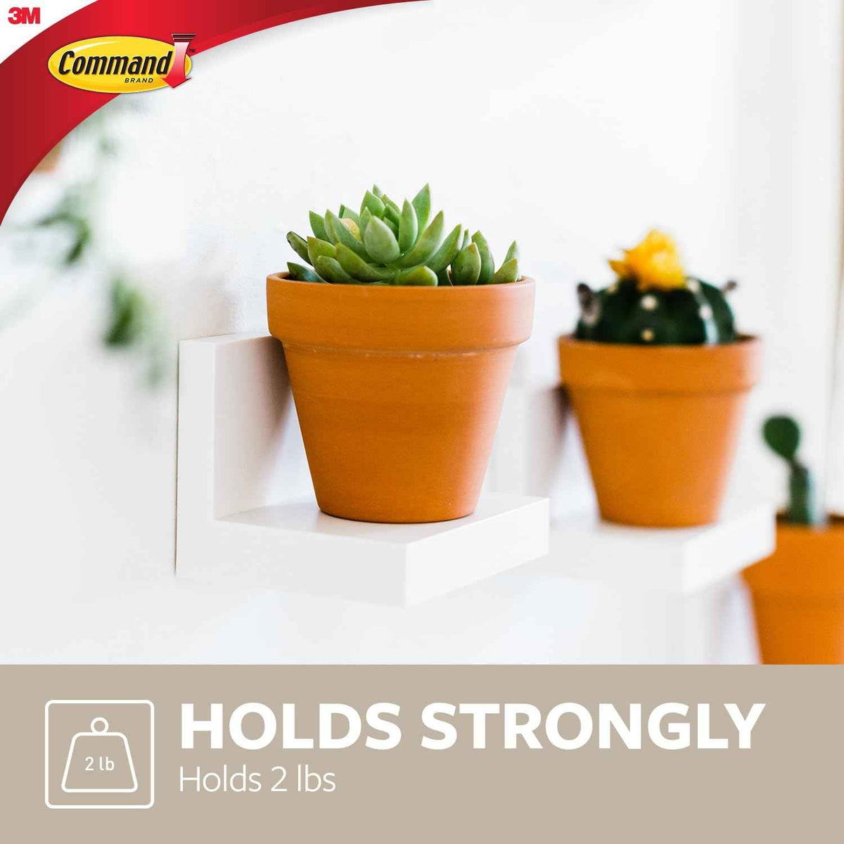 Command Display Floating Wall Shelves, 2 Ledges 8 Strips, Damage-free Decorating, Quartz 🍁 All In One Marketplace Canada