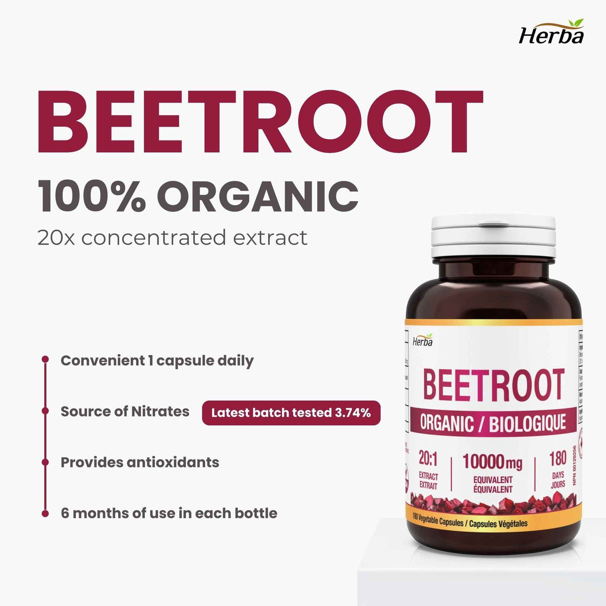 Herba 10,000mg Organic BeetRoot Capsules – 180 Count | 20:1 Beet Root Powder in Capsule | Nitric Oxide Supplements for Men & Women | Made in Canada 🍁 All In One Marketplace Canada