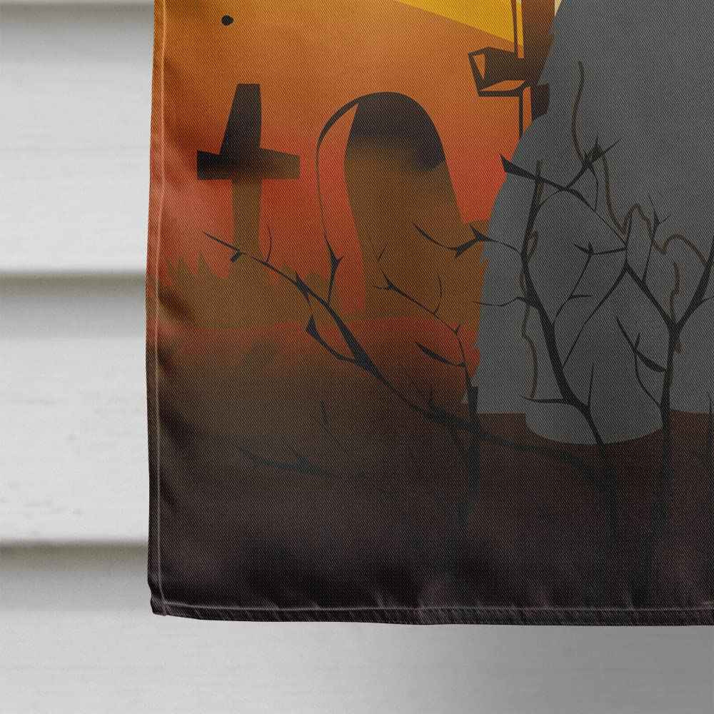 Caroline's Treasures BB4347CHF Halloween Briard Black Flag Canvas House Size, Large, Multicolor