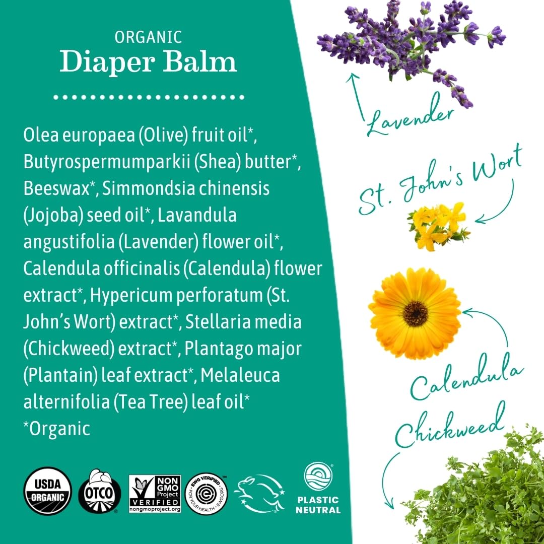 Earth Mama Organic Baby Diaper Balm, 120ml 🍁 All In One Marketplace Canada
