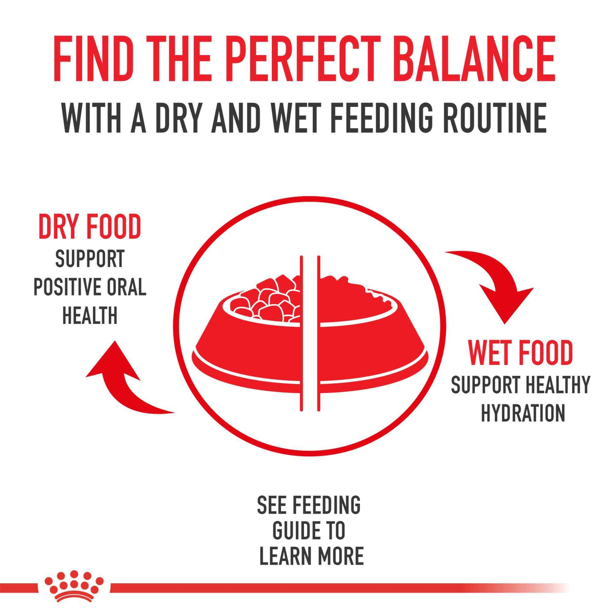 Royal Canin Feline Health Nutrition Indoor Adult Dry Cat Food, 7-Pound 🍁 All In One Marketplace Canada