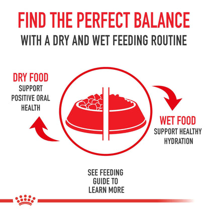 Royal Canin Feline Health Nutrition Indoor Adult Dry Cat Food, 7-Pound 🍁 All In One Marketplace Canada