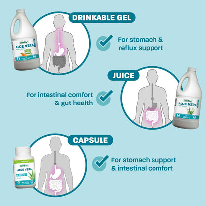 Aloe Vera Drinkable Gel, Orange, Heartburn & Acid Reflux, 1,5 L 🍁 All In One Marketplace Canada