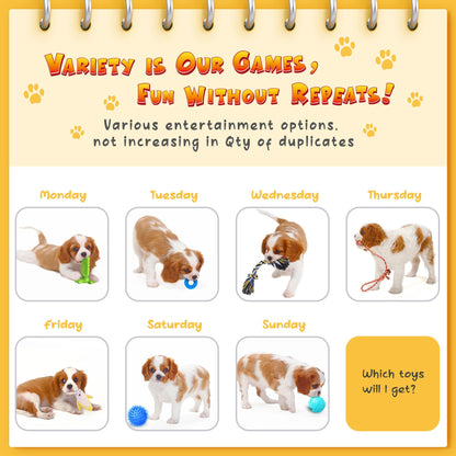 KIPRITII Dog Toys for Puppy Teething - 23 Pack Puppy Teething Toys for Boredom, Pet Dog Toothbrush Dog Toys with Rope Toys, Dog Treat Ball and More Squeaky Toy for Puppies and Small Dogs 🍁 All In One Marketplace Canada