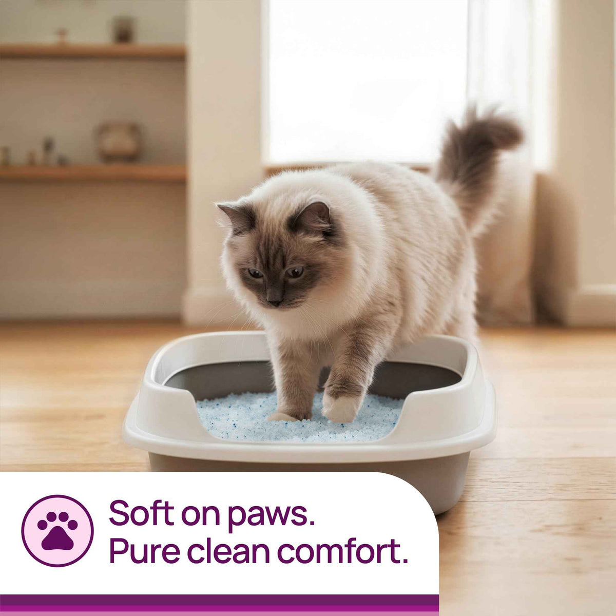 Litter Pearls Micro Crystals Unscented Non-Clumping Crystal Cat Litter with Odorbond, 7 lb, White, Clear and Blue Crystals (LPMC7) 🍁 All In One Marketplace Canada