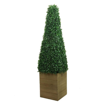 Mayer Potted Boxwood Topiary Plant (Multiple Sizes)