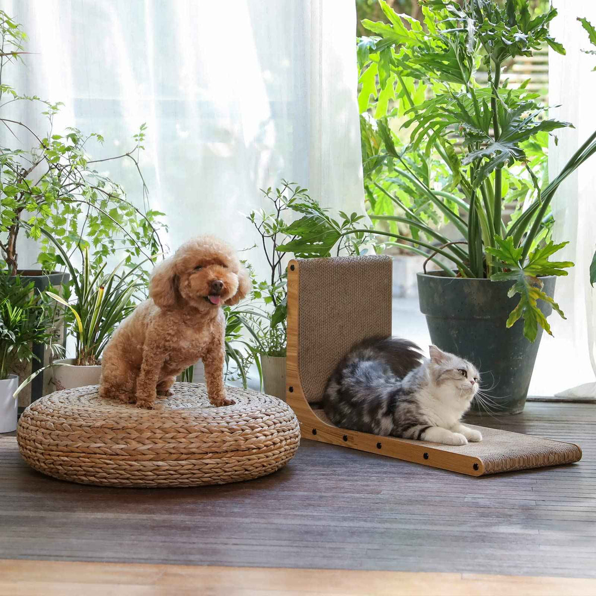 FUKUMARU Cat Scratcher, 68 CM L Shape Cat Scratch Pad Wall Mounted, Cat Scratching Cardboard with Ball Toy for Indoor Cats, Large Size 🍁 All In One Marketplace Canada