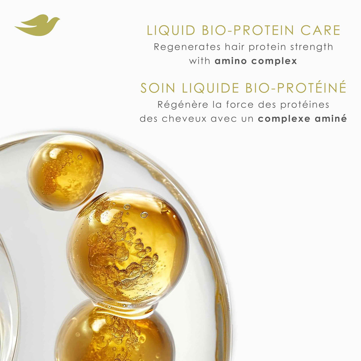 Dove Coconut Restore Shampoo & Conditioner for Damaged Hair, with Liquid Bio-Protein Care, 355 ML (2 Shampoo + 2 Conditioner) 🍁 All In One Marketplace Canada