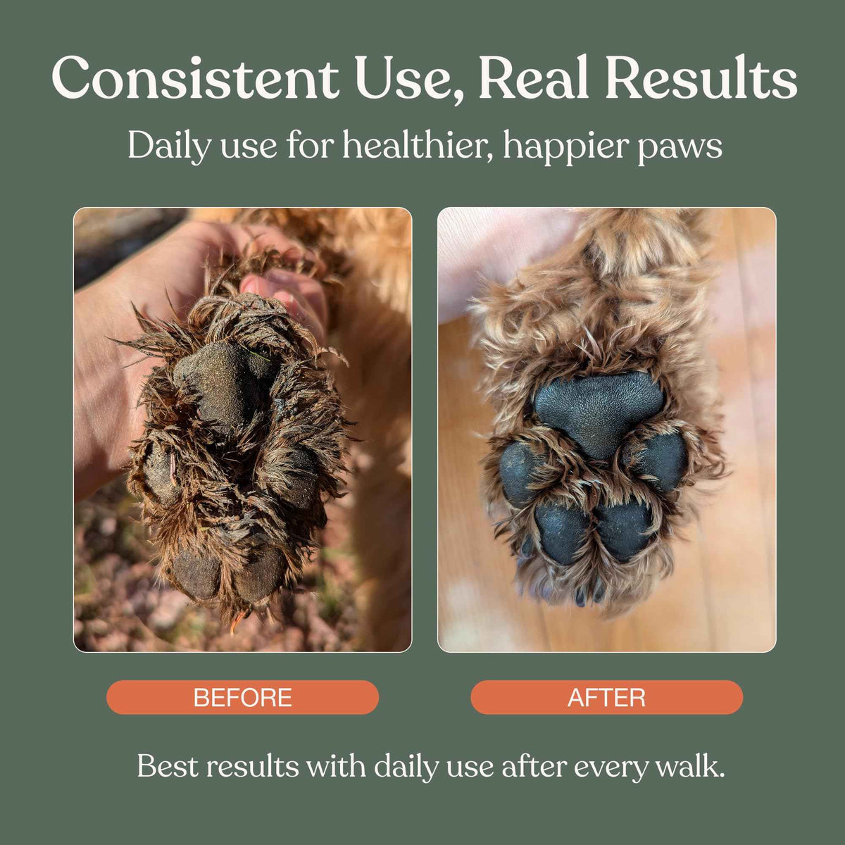 Dandylion Dog Paw Cleaner, Clean Paws, Dog Paw Washer, No Rinse Foam Cleaner for Dogs, Fragrance Free pH Balanced Foaming Washer with Silicone Brush, Pet Cleaning Supplies, 5 fl oz 🍁 All In One Marketplace Canada