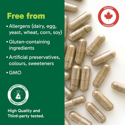 Organika Antiparasitic Capsules with Wormwood & Black Walnut Hull | Herbal Cleanse for Intestinal & Digestive Health | 7-Day Protocol | Traditional Botanical Formula | 56vcaps 🍁 All In One Marketplace Canada