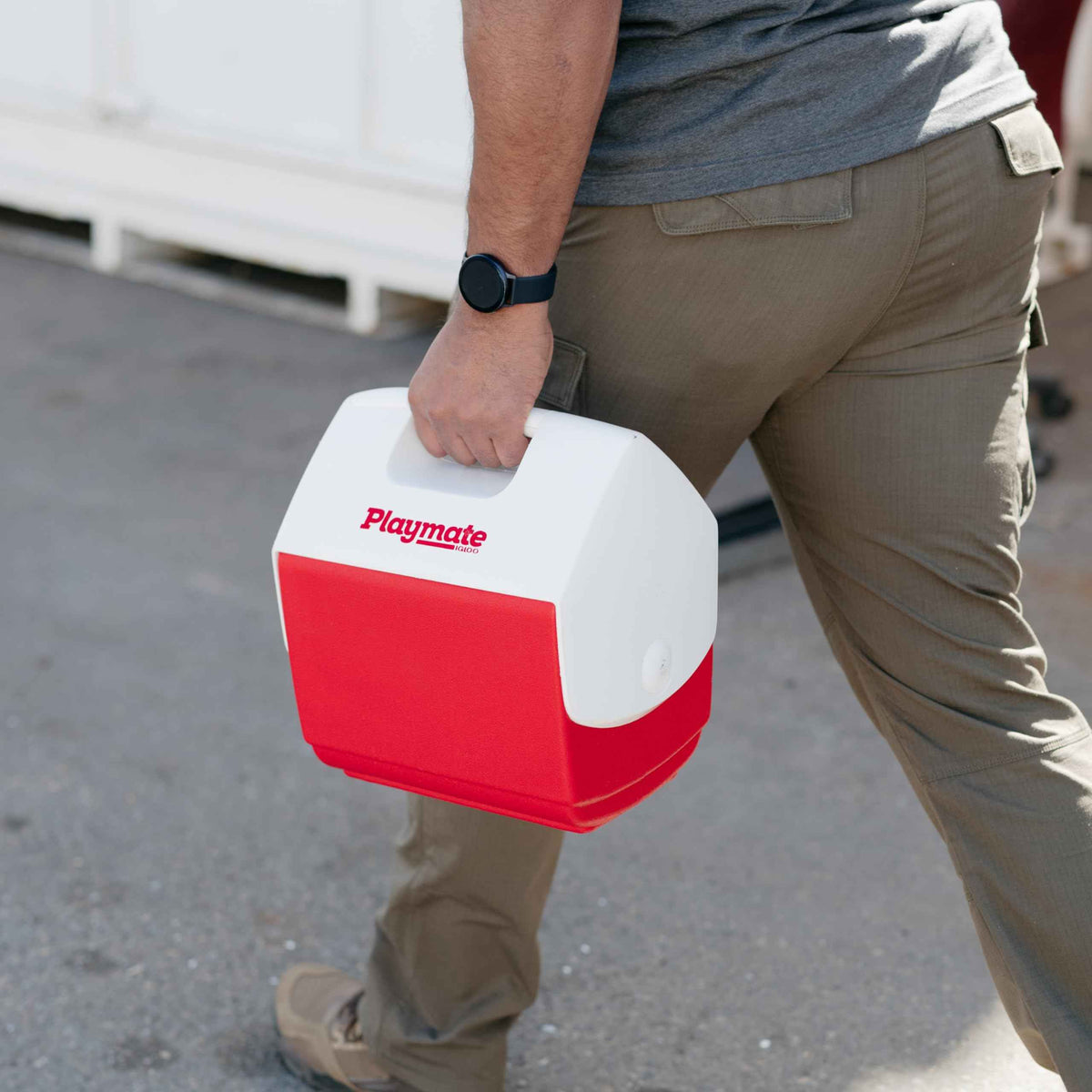 Igloo 7362 11.75 x 8.25 x 12-Inch Playmate PalPersonal Sized Cooler, 7-Quart (Red/White) 🍁 All In One Marketplace Canada
