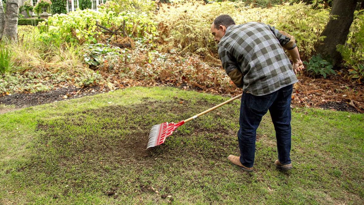 Scotts Turf Builder Quick & Thick Grass Seed, 1.2kg (173 sq Meters / 1,863 sq feet Coverage) | Grow a Thick, Green Lawn Fast. for Areas that Experience Sun & Shade 🍁 All In One Marketplace Canada