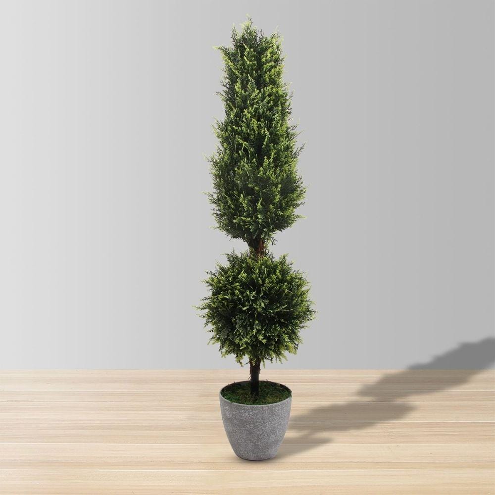 Jacob Potted Boxwood Topiary Plant (Multiple Sizes)