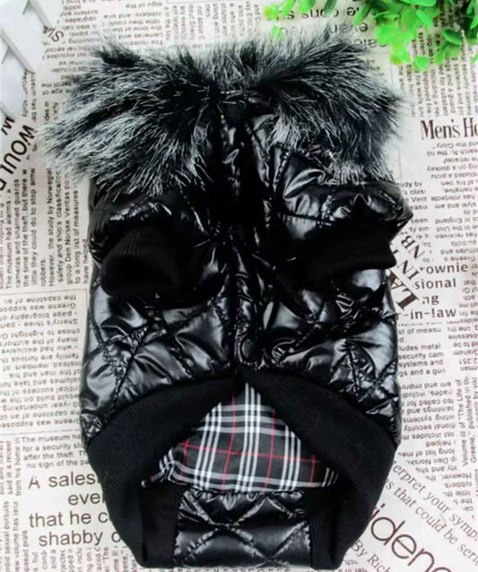 Bomber Dog Jacket | Dog Jacket for Cold Weather
