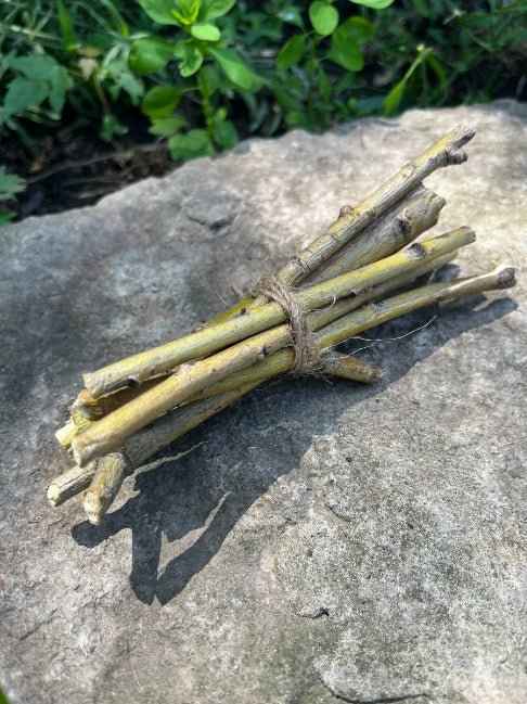 Willow Branch Bundle for Rabbits